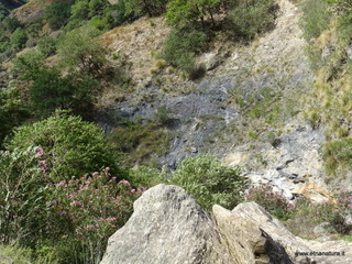 Torrente Vacco
